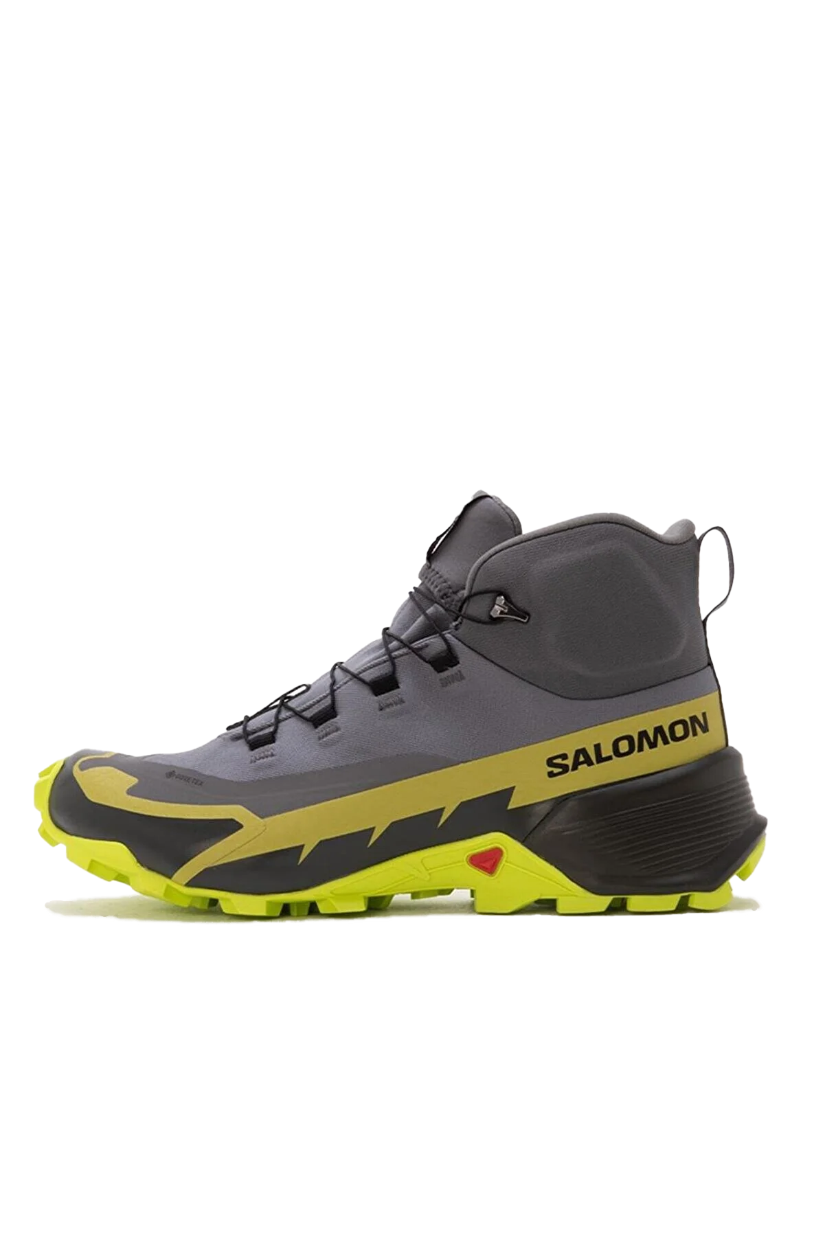 1_org_zoom - 2024-01-20T120709.414 copy